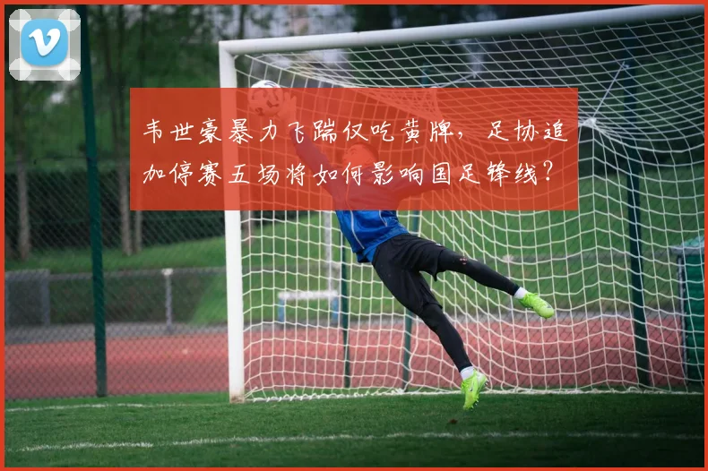 韦世豪暴力飞踹仅吃黄牌，足协追加停赛五场将如何影响国足锋线？